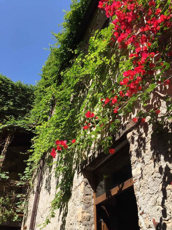 Domus Laeta Villa Giungano Buitenkant foto